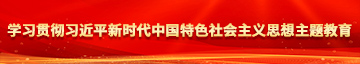 .浪逼色影院学习贯彻习近平新时代中国特色社会主义思想主题教育